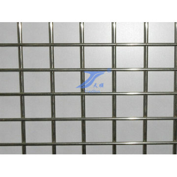 Stainless Steel Welded Wire Mesh (factory)